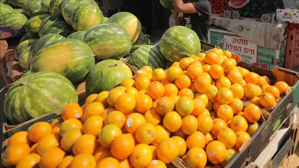 القدس" دوت كوم- الأناضول