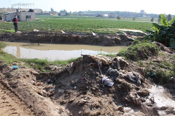 غزة- (شينخوا)
