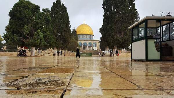 القدس - "القدس" دوت كوم