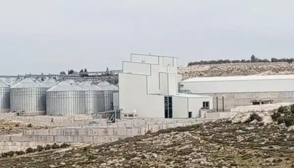 الخليل - "القدس" دوت كوم