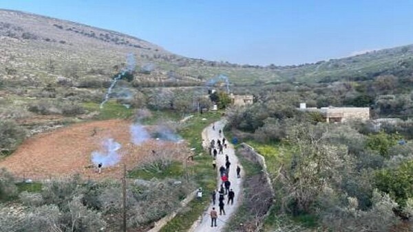 نابلس - "القدس" دوت كوم