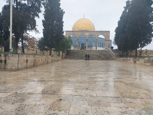 رام الله - "القدس" دوت كوم