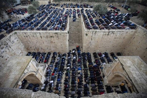 القدس- "القدس" دوت كوم