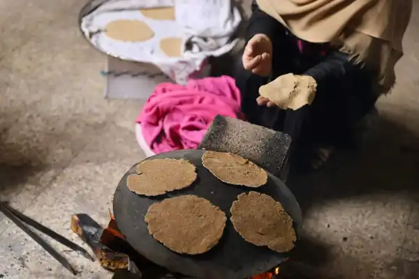 نيويورك - "القدس" دوت كوم