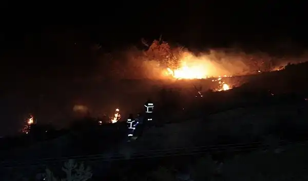 عرب 48