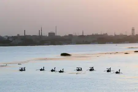 القاهرة - (شينخوا)