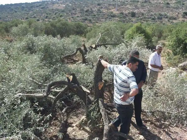 Haaretz