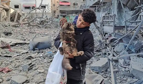 غزة - "القدس" دوت كوم