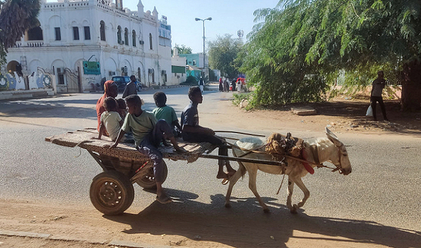 وكالات