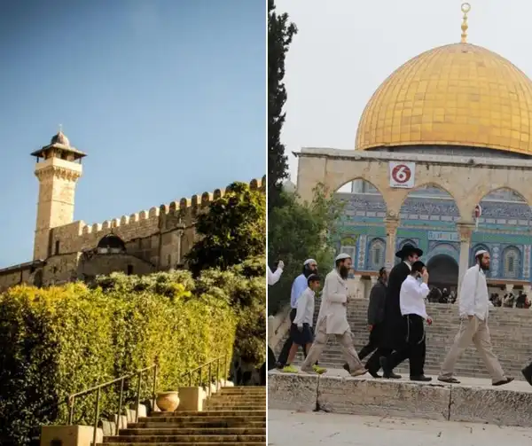 رام الله -"القدس" دوت كوم
