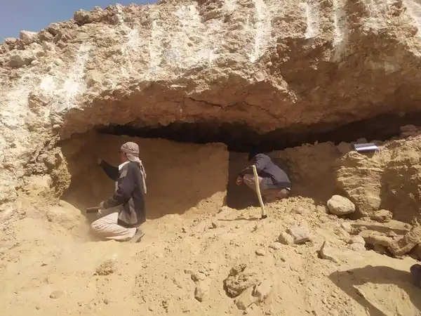 شبكة التلفزيون العربي