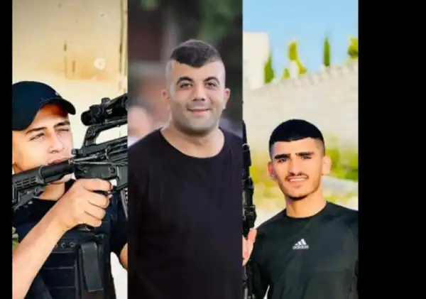 جنين - "القدس" دوت كوم