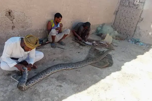 وكالات