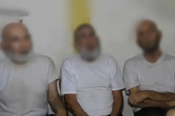 الجزيرة