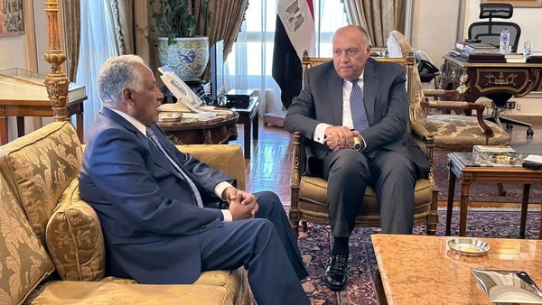 القاهرة - (شينخوا)