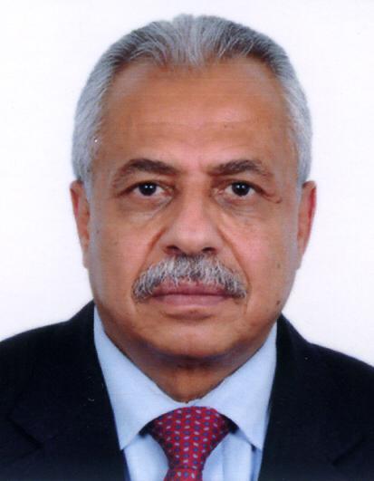 محمد الميتمي