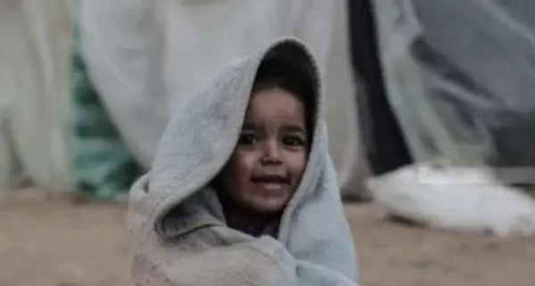 غزة - "القدس" دوت كوم