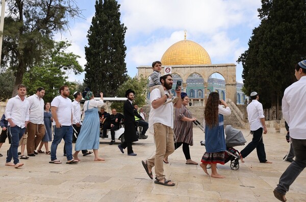 القدس - "القدس" دوت كوم