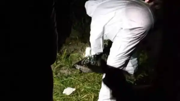 شبكة التلفزيون العربي