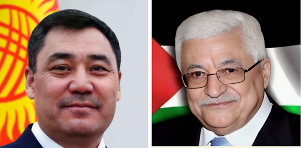 بيتشيك- "القدس" دوت كوم